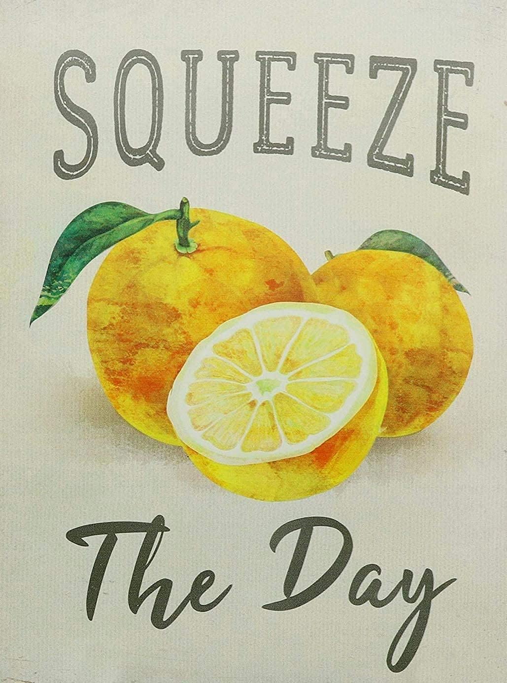 Home Bar And Coffee - Starotore Squeeze The Day ヴィンテージメタルティンサイン装飾ポスター コーヒーショップ